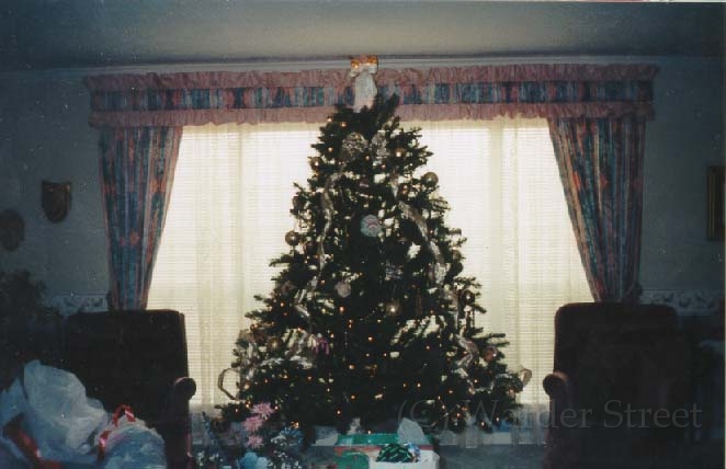 Christmas Tree 2.jpg